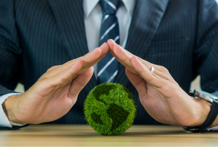How to Get the ISO 14001 Environmental Management System Certificate?