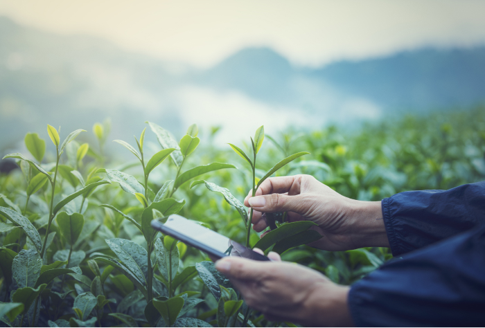 What Are the Benefits of ISO 22000?